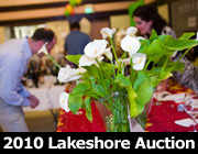 2010 Lakeshore Auction