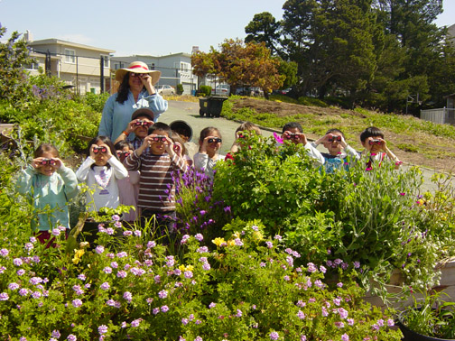 garden